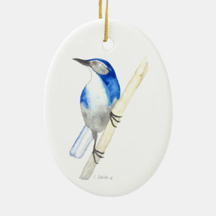 Ornement Ovale En Céramique California Scrub Jay