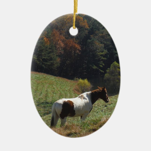 Ornement Ovale En Céramique Cheval Brown et blanc à l'étang d'automne (Devant)
