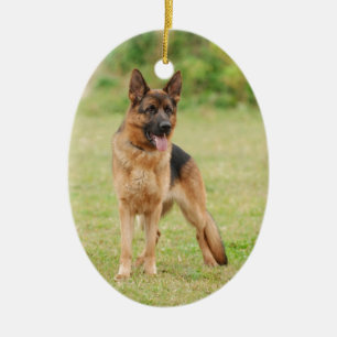 Ornement Ovale En Céramique Chien de berger allemand