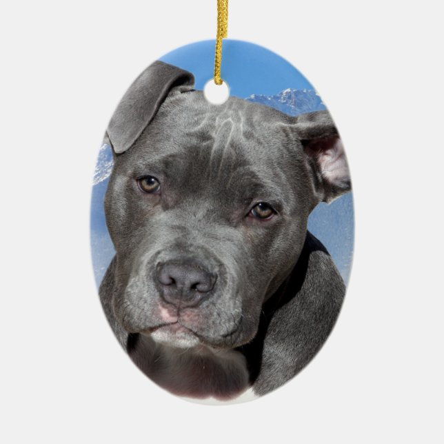Ornement Ovale En Céramique Chiot de Pitbull Terrier d'Américain (Devant)