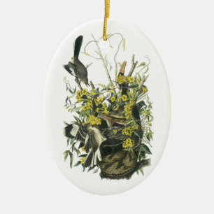 Ornement Ovale En Céramique Colibri du Nord par Audubon
