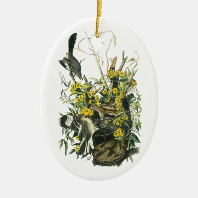 Ornement Ovale En Céramique Colibri du Nord par Audubon (Devant)
