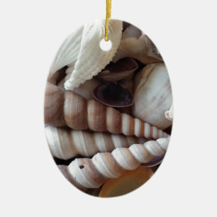 Ornement Ovale En Céramique Collection de coquillages exotiques, plage d'été