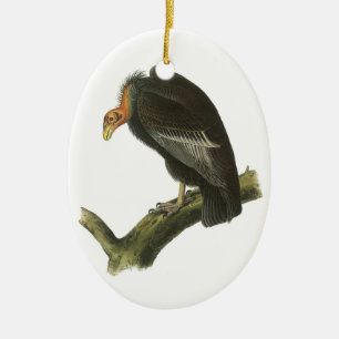 Ornement Ovale En Céramique Condor de Californie par Audubon