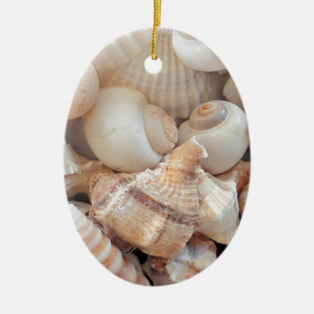 Ornement Ovale En Céramique Coquillages d'été ensoleillés, Sea Shells Beach Lo (Devant)