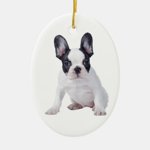 Ornement Ovale En Céramique Frenchie - French bulldog puppy