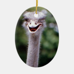 Ornement Ovale En Céramique Funny Ostrich