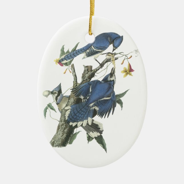 Ornement Ovale En Céramique Geai bleu, John Audubon (Devant)