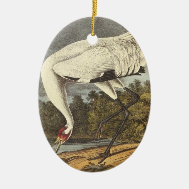 Ornement Ovale En Céramique Grue de huée, John Audubon (Devant)