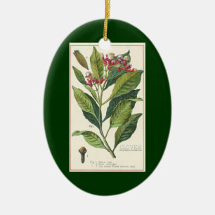 Ornement Ovale En Céramique Herbes et épices alimentaires vintage, plante de c