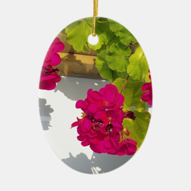 Ornement Ovale En Céramique HOt fleurs florales roses Géranium rose (Devant)
