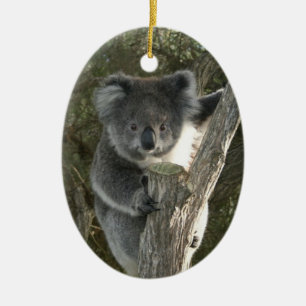 Ornement Ovale En Céramique Koala mignon grimpant à un arbre