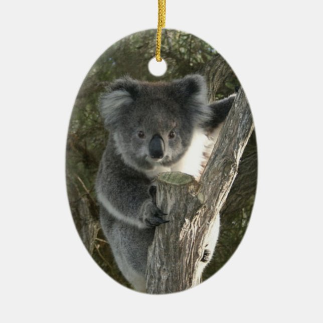 Ornement Ovale En Céramique Koala mignon grimpant à un arbre (Devant)