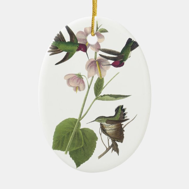 Ornement Ovale En Céramique Le colibri d'Anna, James Audubon (Devant)