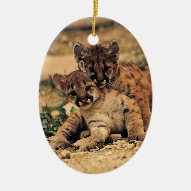 Ornement Ovale En Céramique Le tigre CUB ornementent (Devant)