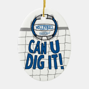 Ornement Ovale En Céramique Le volleyball bascule le bleu et l'argent
