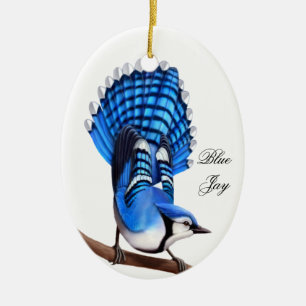 Ornement Ovale En Céramique L'ornement sauvage d'oiseau de geai bleu