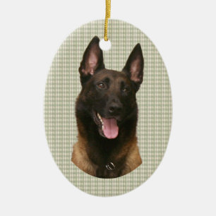 Ornement Ovale En Céramique malinois belge