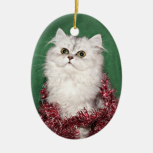 Ornement Ovale En Céramique Noël persan de chaton