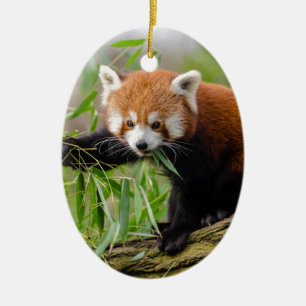 Ornement Ovale En Céramique Panda Rouge Manger Feuille verte