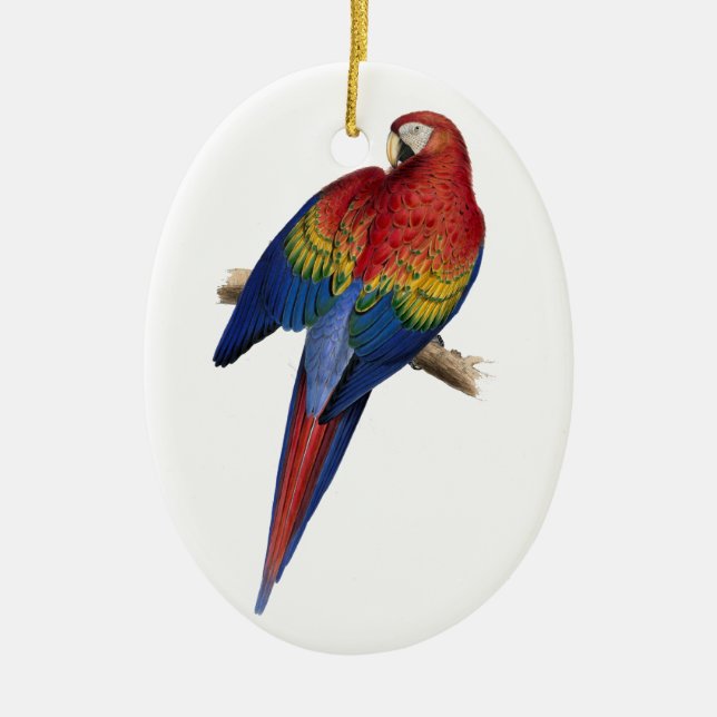 Ornement Ovale En Céramique Perruche de perroquet d'oiseau d'ara (Devant)