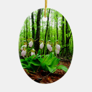 Ornement Ovale En Céramique Pink Lady Slipper sauvage orchidée