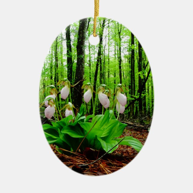Ornement Ovale En Céramique Pink Lady Slipper sauvage orchidée (Devant)