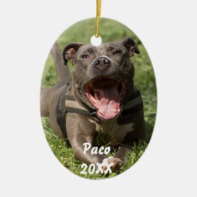Ornement Ovale En Céramique Pitbull dans l'herbe (Devant)