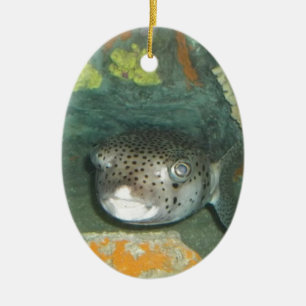 Ornement Ovale En Céramique Poissons de décolleur