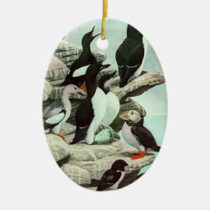 Ornement Ovale En Céramique Puffins vintages et oiseaux aquatiques de Louis Fu