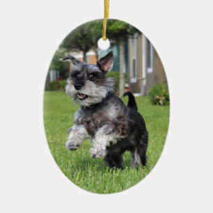 Ornement Ovale En Céramique Schnauzer, joie