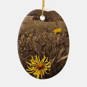 Ornement Ovale En Céramique Sepia tone fleurs sauvages jaunes