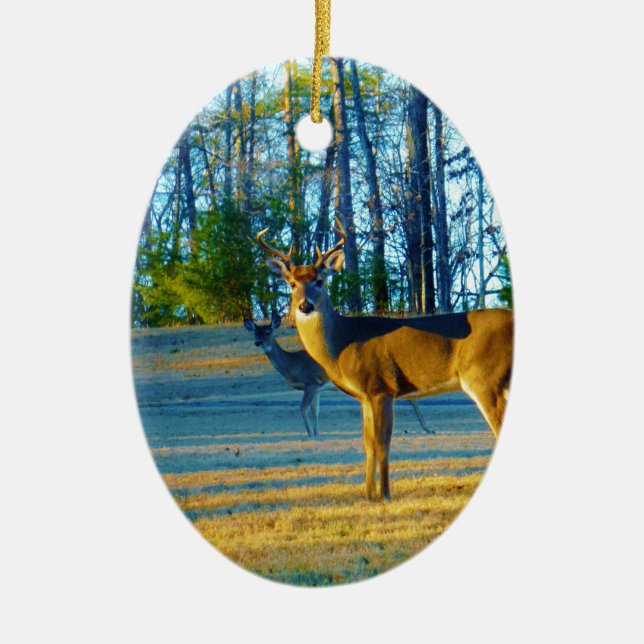 Ornement Ovale En Céramique Stade / Buck Deer, Ciel bleu clair (Devant)