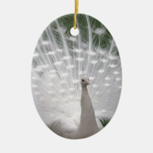 Ornement Ovale En Céramique Superbe blanc Peacock ( Paon) plein plume