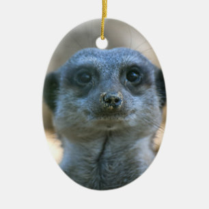 Ornement Ovale En Céramique Suricate