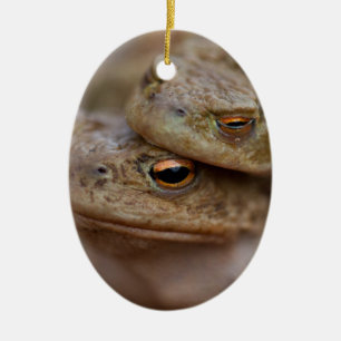 Ornement Ovale En Céramique Toads L'Ornement "Le Couple Vilain"