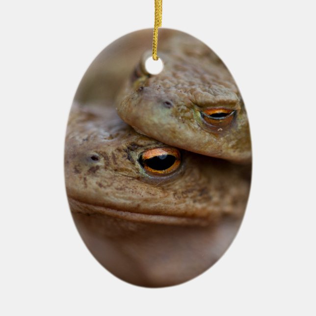 Ornement Ovale En Céramique Toads L'Ornement "Le Couple Vilain" (Devant)