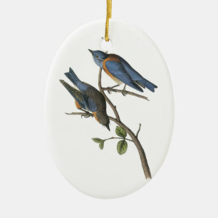 Ornement Ovale En Céramique Western Bluebird par Audubon