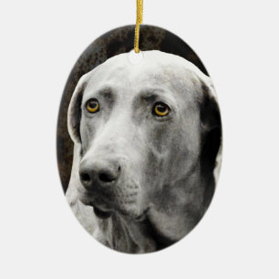 Ornement Ovale En Céramique Yeux émouvants du Weimaraner