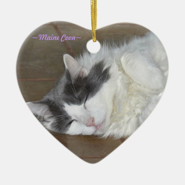Ornement pelucheux de chat de sommeil mignon (Devant)