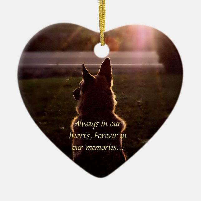 Ornement perdu d'animal familier (Devant)