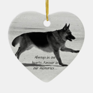 Ornement perdu d'animal familier