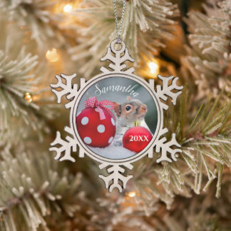 Ornement personnalisé des écureuils de Noël