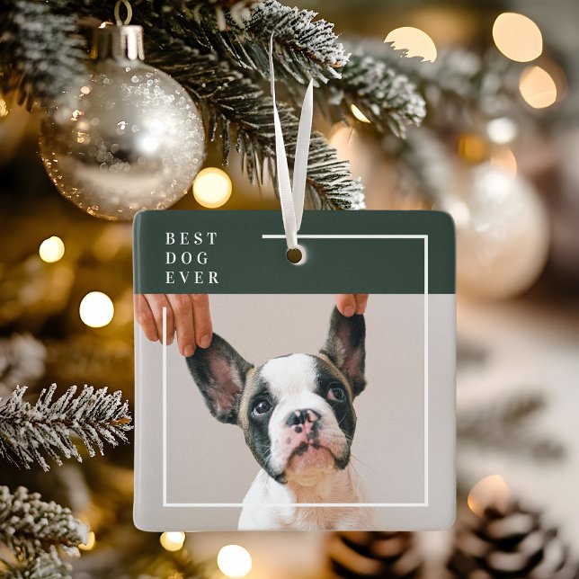 Ornement photo de chien | Meilleur chien moderne q (Créateur téléchargé)