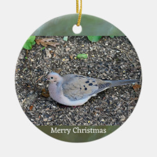 Ornement photo de la colombe en deuil