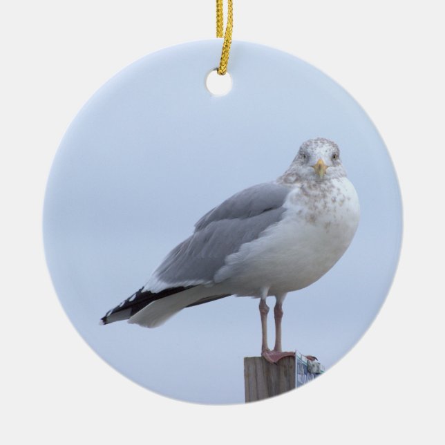 Ornement photo de mouette  (Devant)