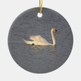 Ornement photo de Swan