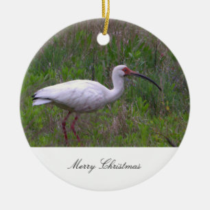Ornement photo d'oiseaux Ibis