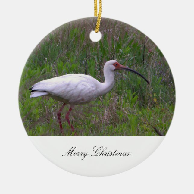 Ornement photo d'oiseaux Ibis (Devant)