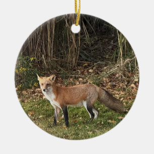 Ornement photo Fox